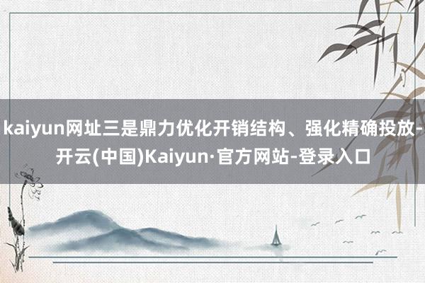 kaiyun网址三是鼎力优化开销结构、强化精确投放-开云(中国)Kaiyun·官方网站-登录入口
