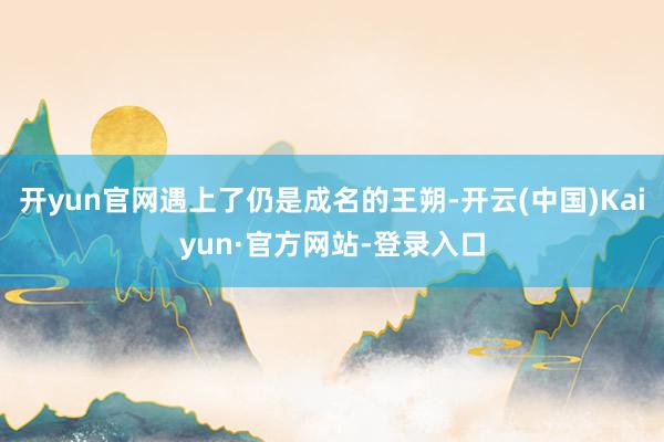 开yun官网遇上了仍是成名的王朔-开云(中国)Kaiyun·官方网站-登录入口