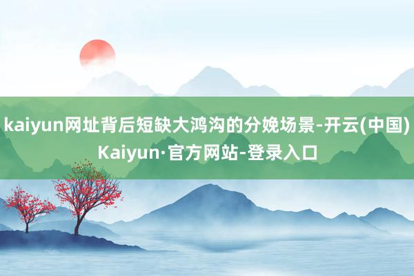 kaiyun网址背后短缺大鸿沟的分娩场景-开云(中国)Kaiyun·官方网站-登录入口