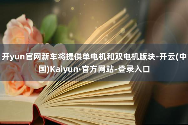 开yun官网新车将提供单电机和双电机版块-开云(中国)Kaiyun·官方网站-登录入口