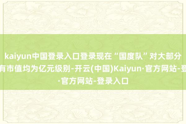 kaiyun中国登录入口登录现在“国度队”对大部分个股握有市值均为亿元级别-开云(中国)Kaiyun·官方网站-登录入口