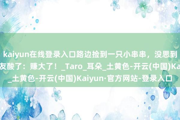 kaiyun在线登录入口路边捡到一只小串串，没思到长大后颜值逆天，网友酸了：赚大了！_Taro_耳朵_土黄色-开云(中国)Kaiyun·官方网站-登录入口