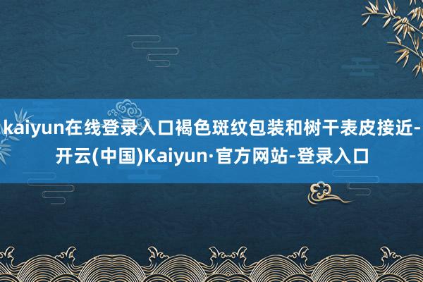 kaiyun在线登录入口褐色斑纹包装和树干表皮接近-开云(中国)Kaiyun·官方网站-登录入口