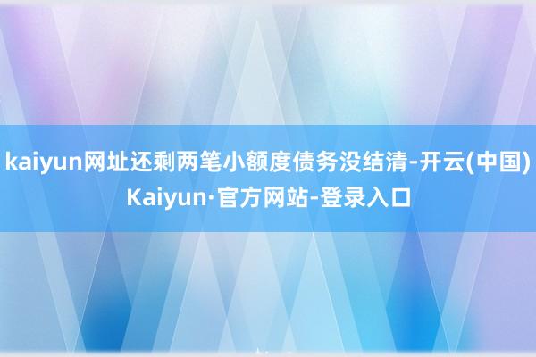 kaiyun网址还剩两笔小额度债务没结清-开云(中国)Kaiyun·官方网站-登录入口